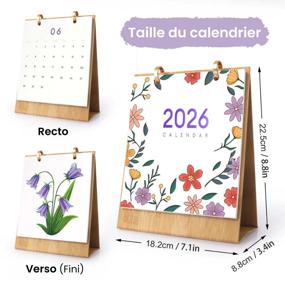 Image du produit 12