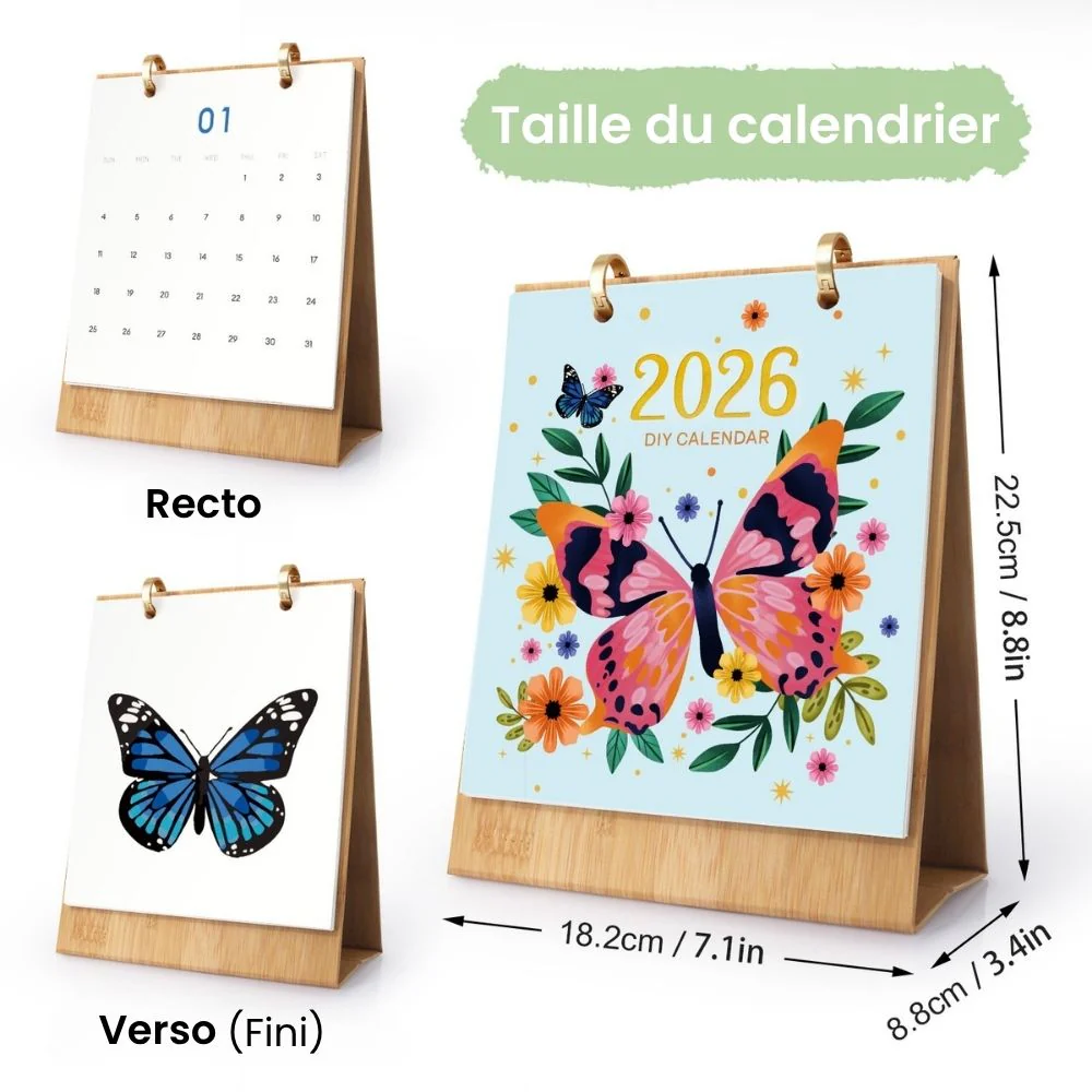 Image du produit 12