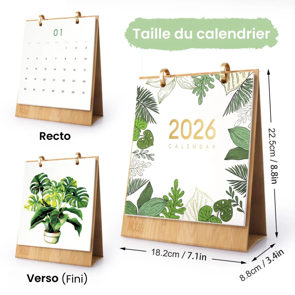 Image du produit 12