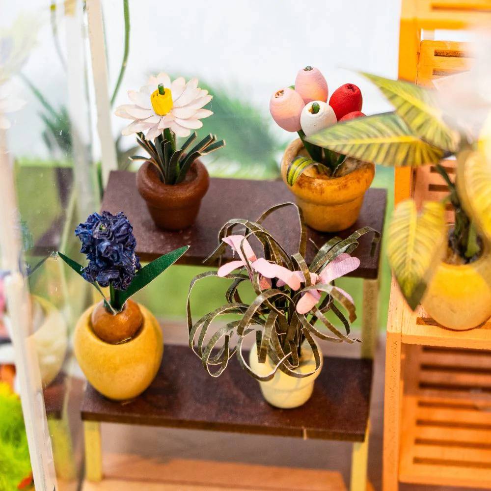 Image du produit 5