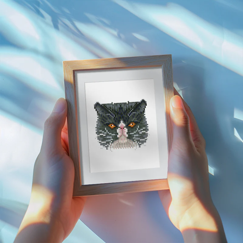 Image du produit 8