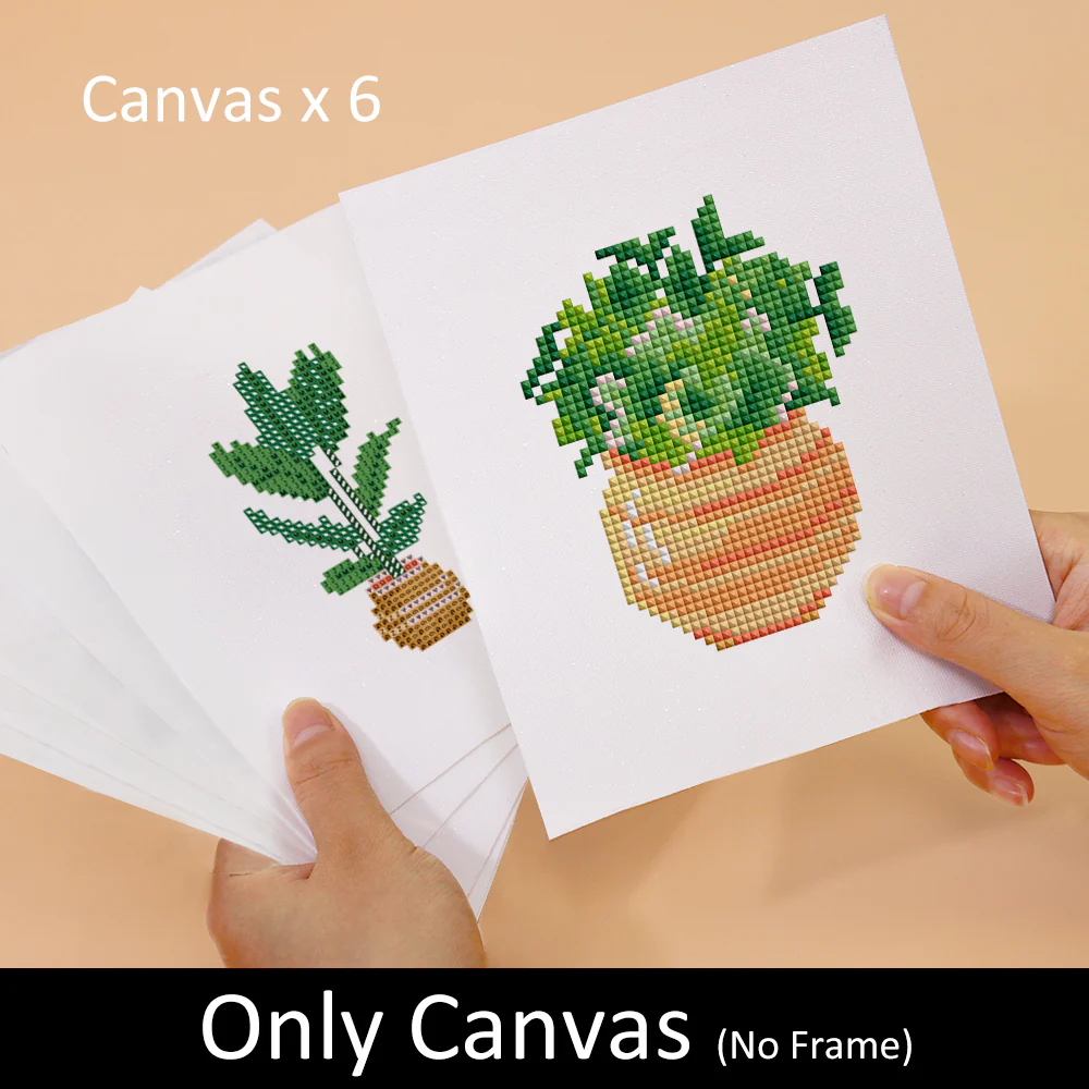 Image du produit 12