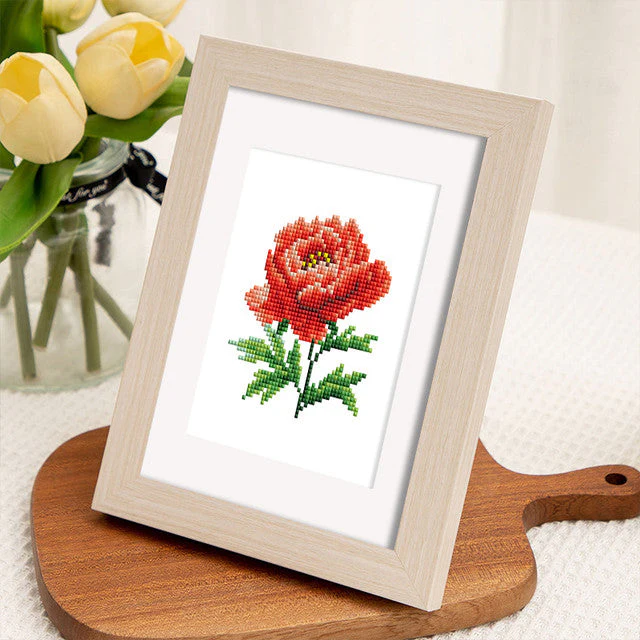 Image du produit 8