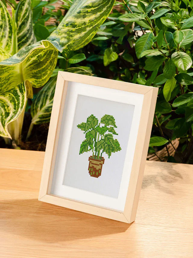Image du produit 12