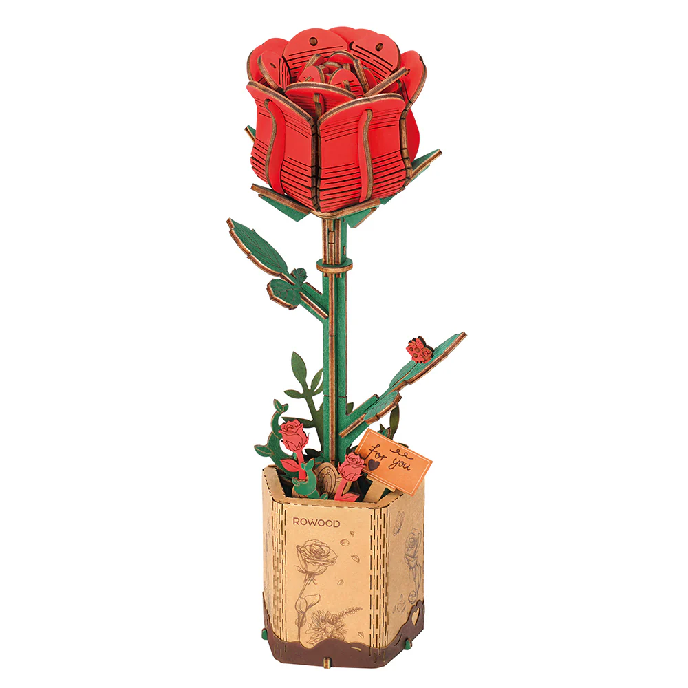 Miniature 2