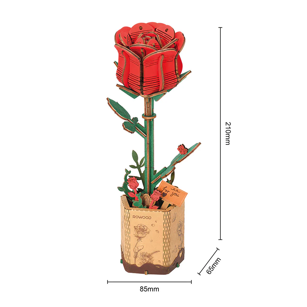 Image du produit 9